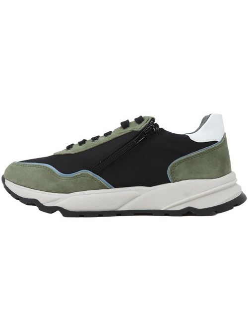 SNEAKERS PACIOTTI 4US | 42601/GREEN/BLACK